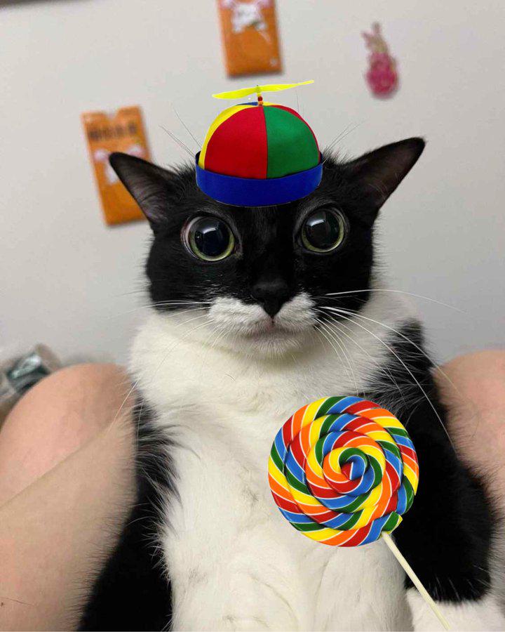 Surprise